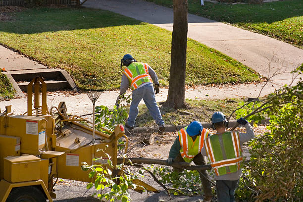  Jefferson, OH Tree Services Pros